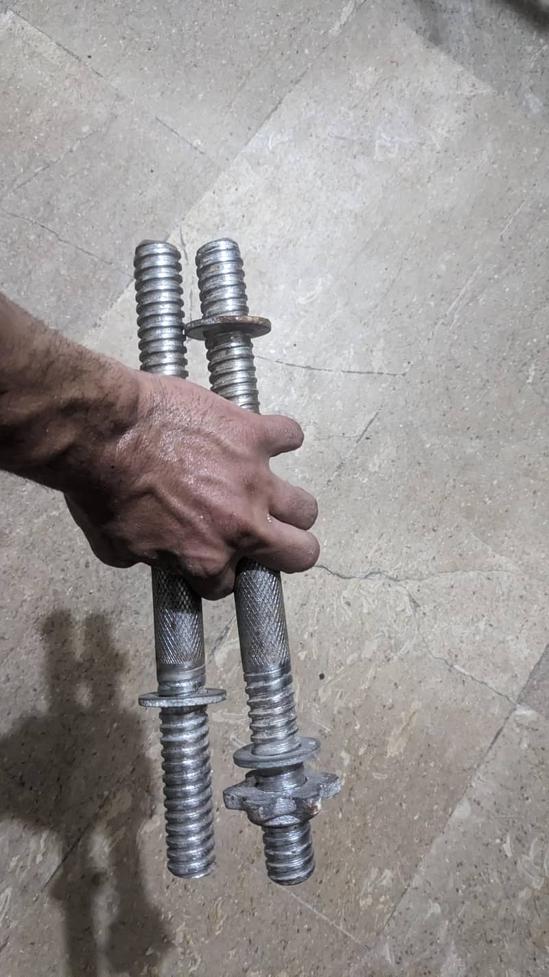 dumble bars pair 0