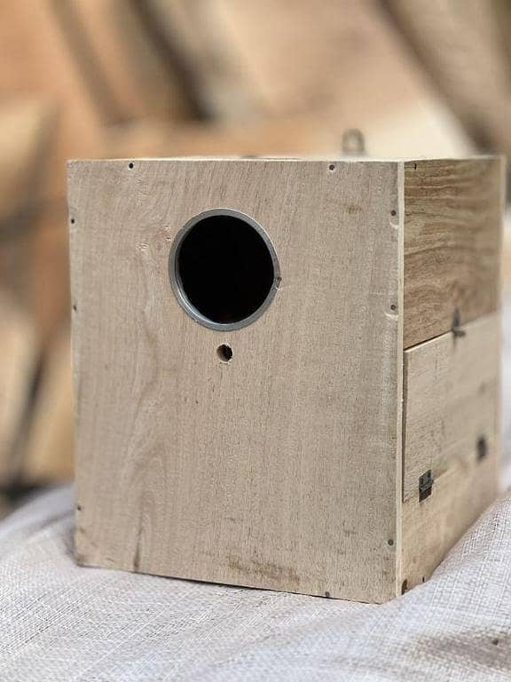 (Big Size ) Breeding Box for , cocktail, ( Mango Wood) birds breeding box