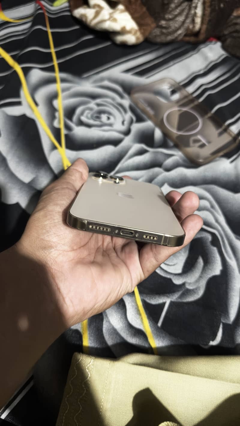 Apple iPhone 13 Pro Max 2