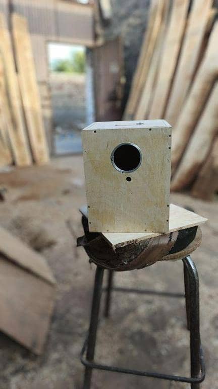 Breeding Box for Lovebirds 7x8x10 in ( Mango Wood) with ( Double Side Doors )