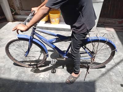 all ok cycle
