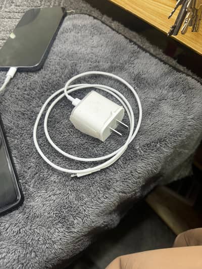 Iphone Original Charger