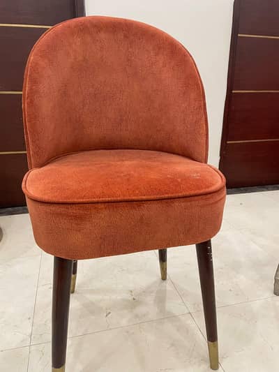 Luxury Dining Chairs