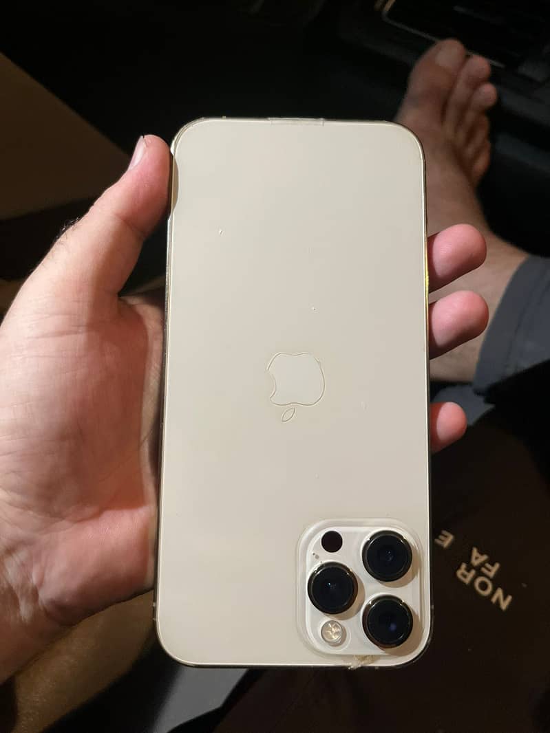 12 pro max 2