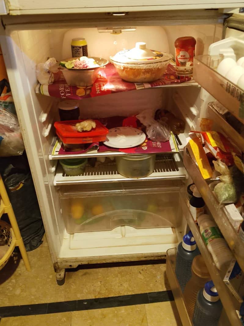 fridge 1