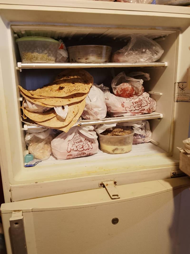 fridge 2