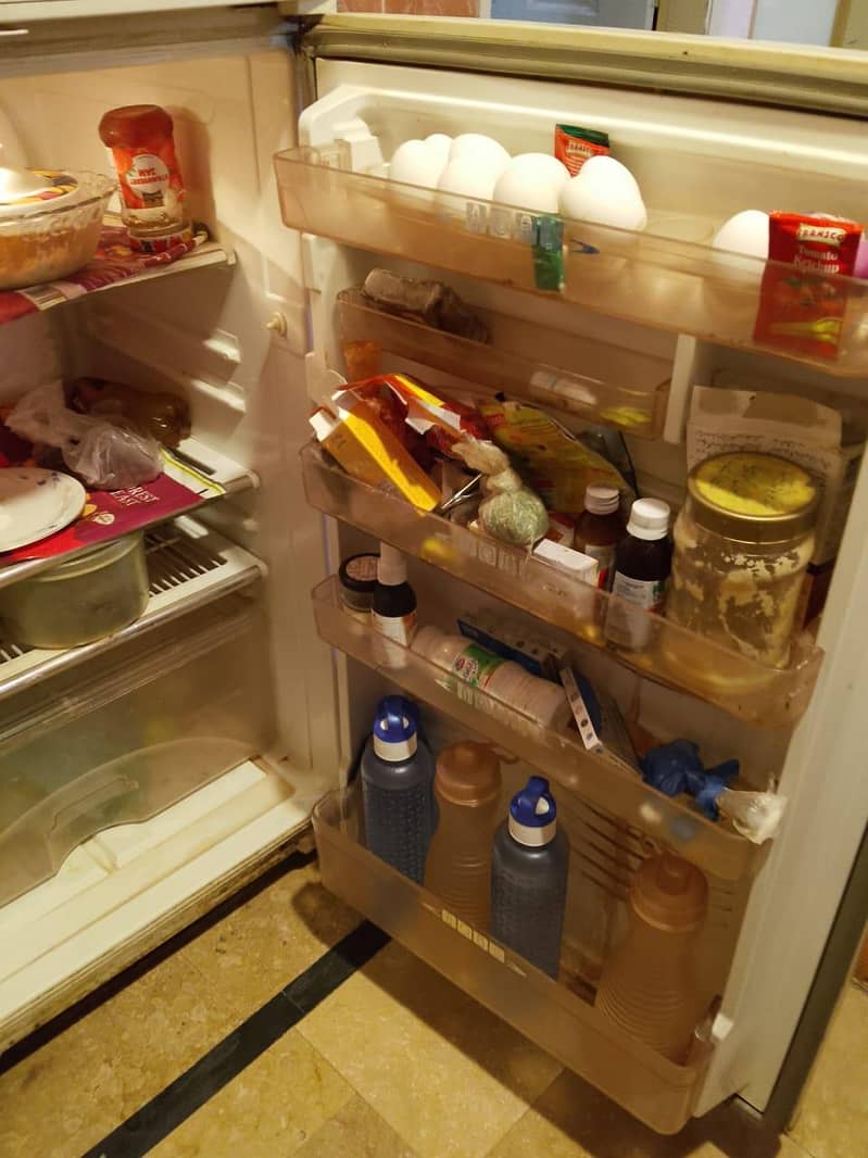 fridge 4