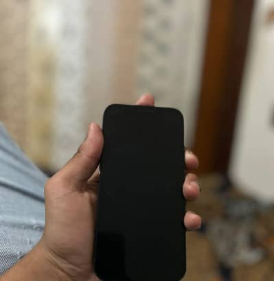 Apple iPhone 12 jv