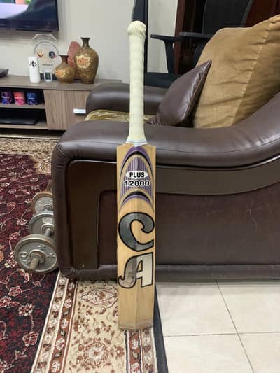 CA Plus 12000 cricket bat