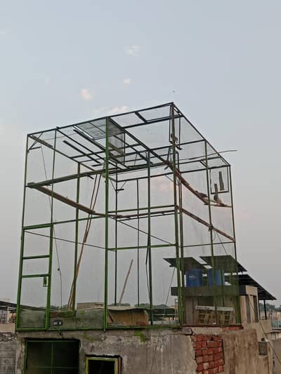 kabtoor ka jaal