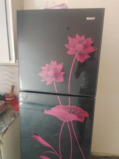 orient glasdoor medium