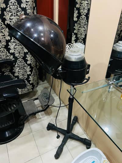 Hair Steamer/ Head Steamer