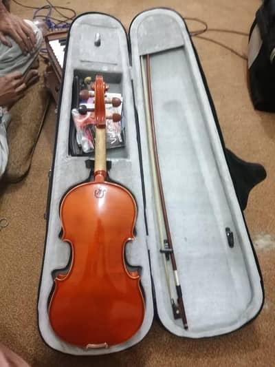 violin