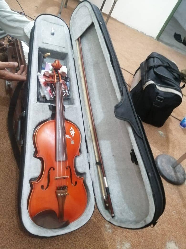 violin 5