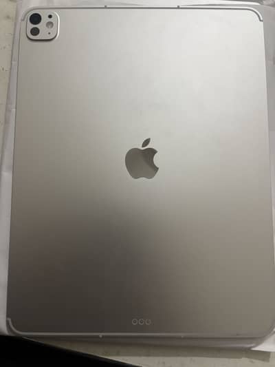 Ipad pro 13-inch(M5) 256 gb 100% health 10/10