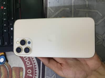 Apple iPhone 12 Pro Max