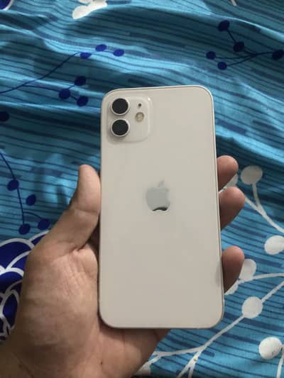 Iphone 12 dual sim (PTA APPROVED) 10/10 waterpack airtight (64gb)