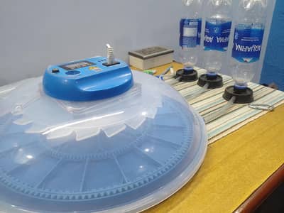 26 Eggs Fully Automatic Incubater