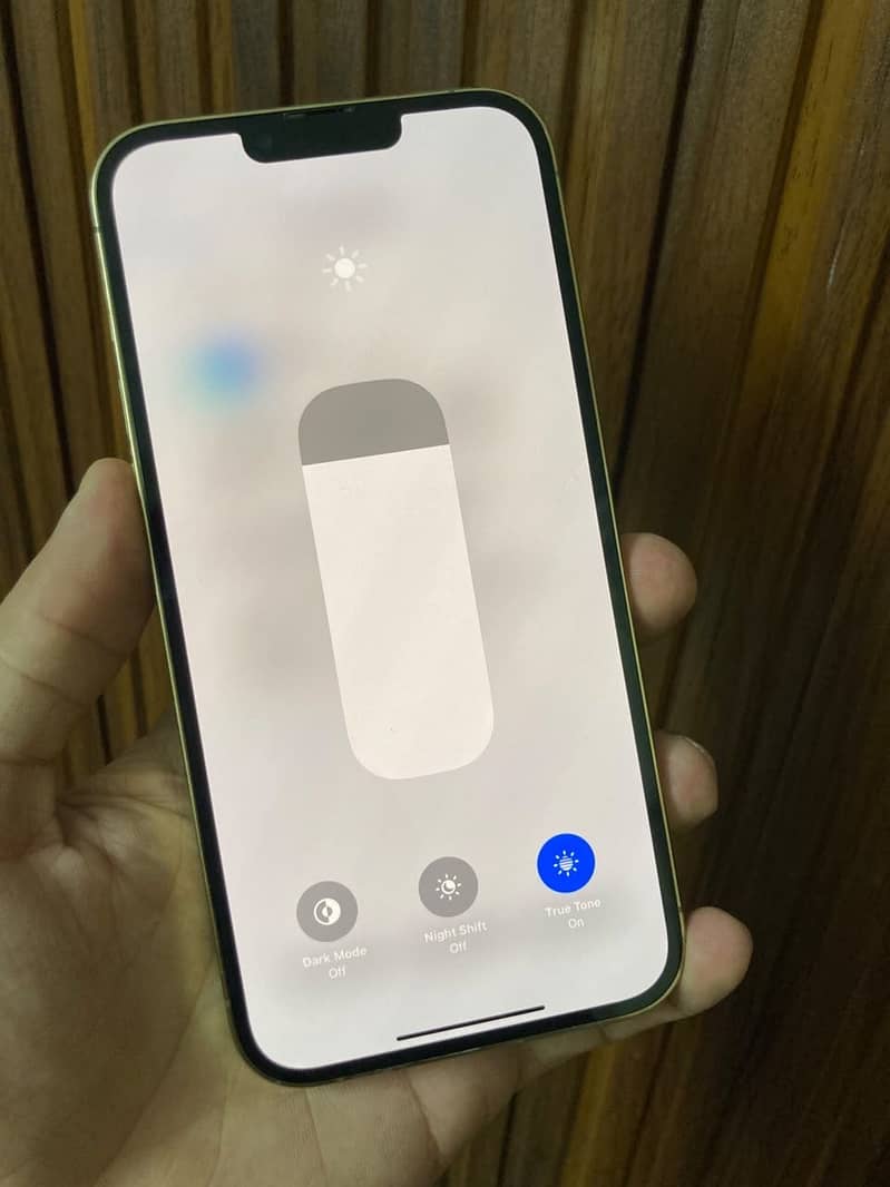 Apple iPhone 13 Pro Max 1