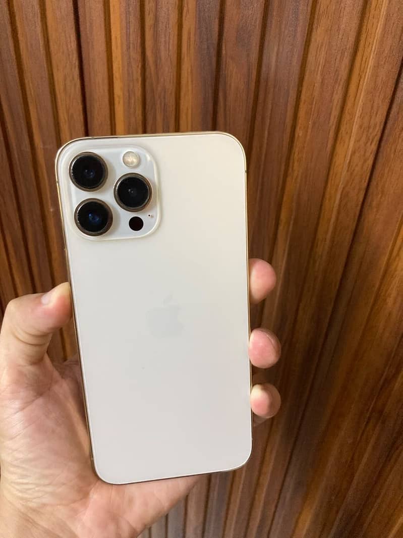 Apple iPhone 13 Pro Max 9