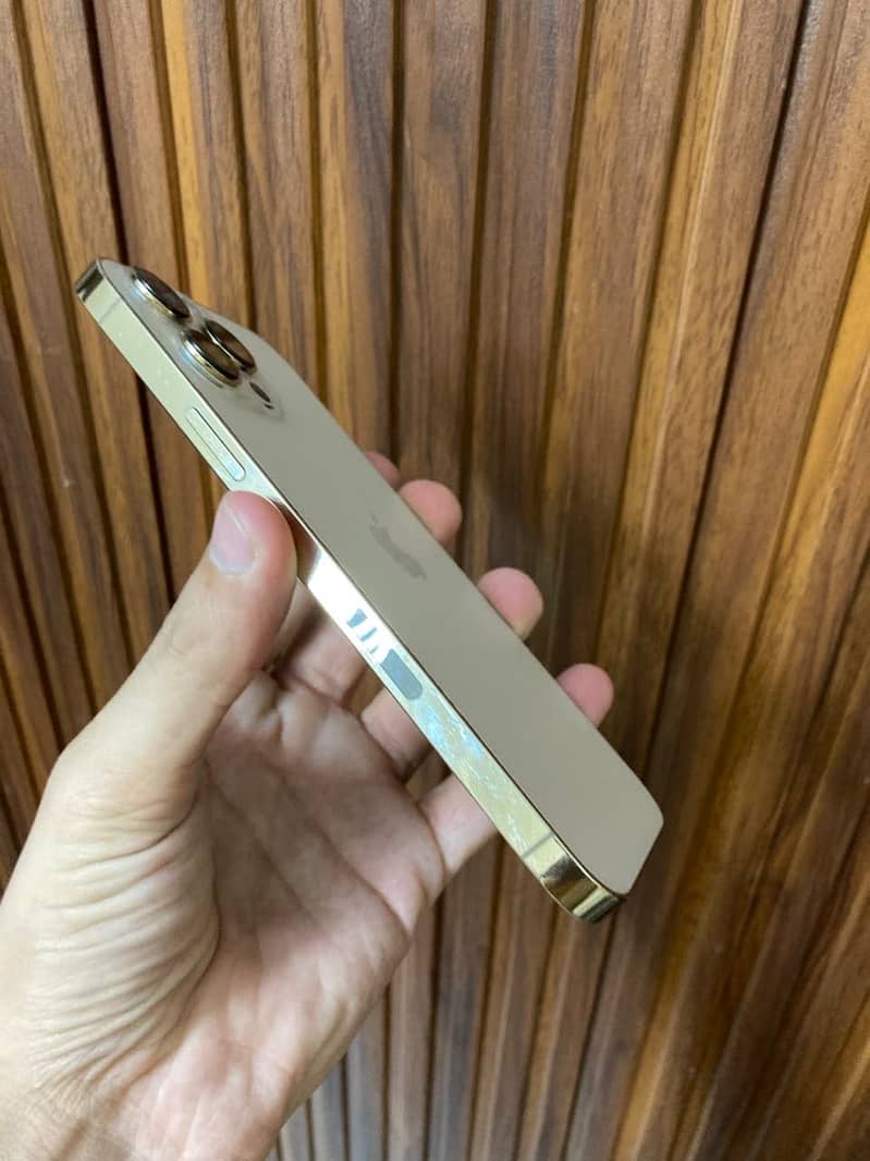 Apple iPhone 13 Pro Max 10