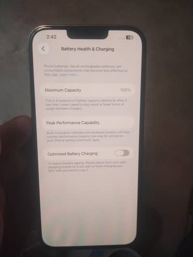 Apple iPhone 13 Pro Max
