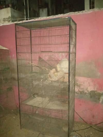 bird cage 2