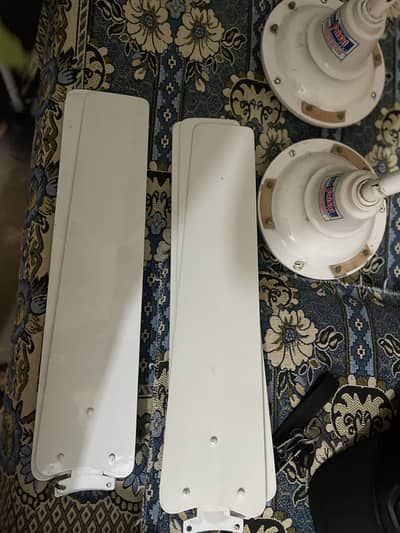 Ceiling fans in good condition