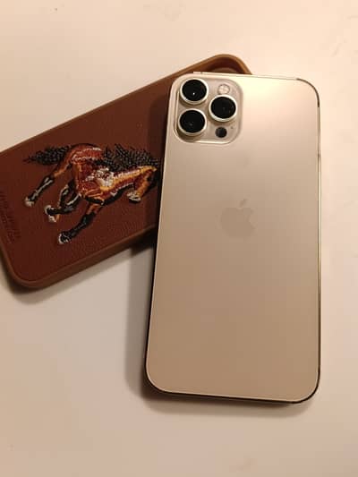 Apple iPhone 12 Pro Max