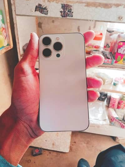 Apple iPhone 13 Pro Max