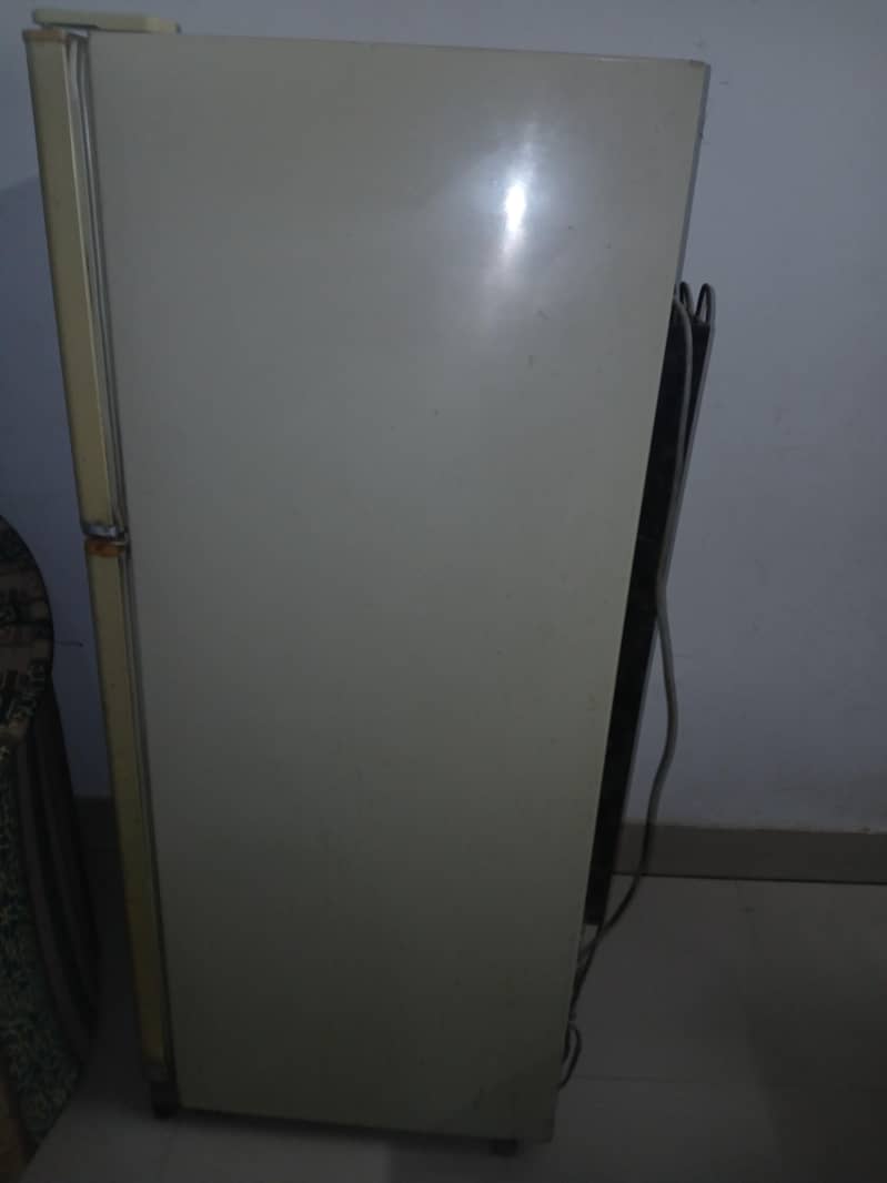 fridge 1