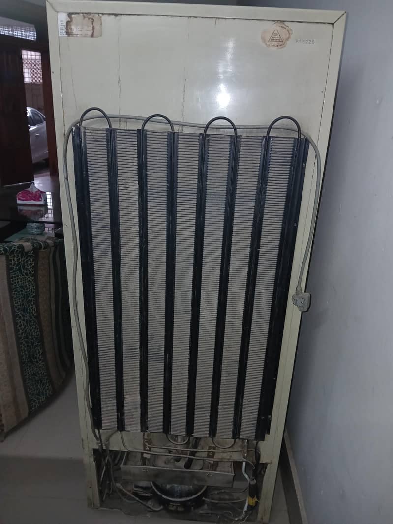 fridge 2