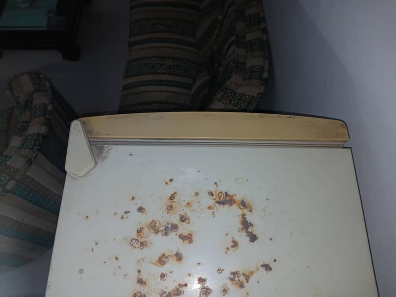 fridge 3