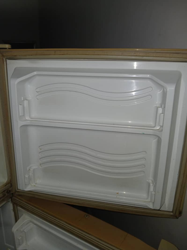 fridge 5