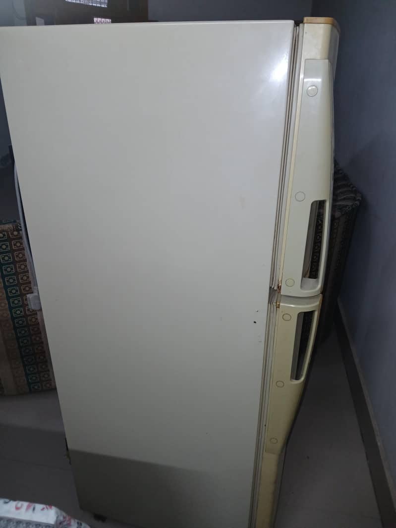 fridge 8