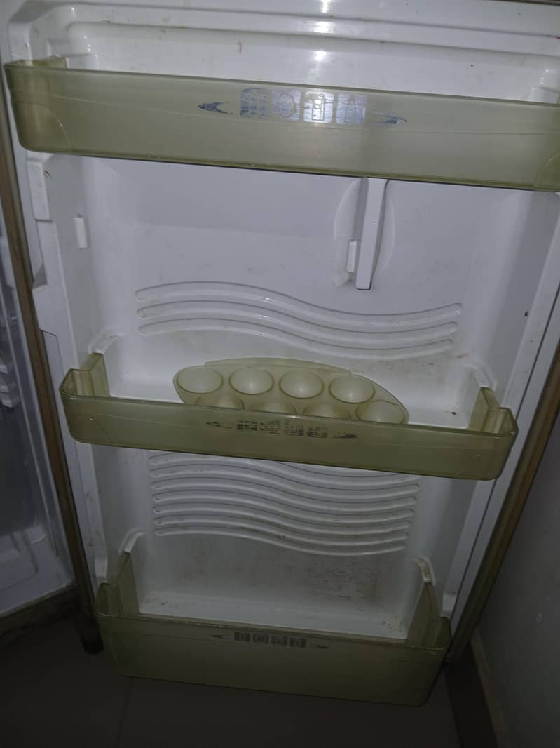 fridge 11