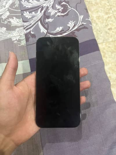 Apple iPhone 13 Pro Max jv
