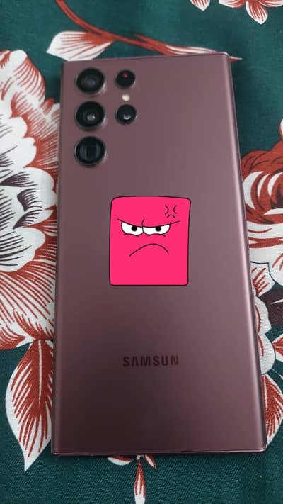 Samsung S22 Ultra