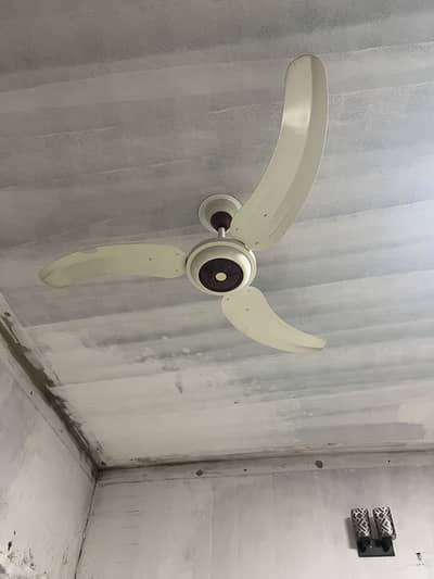 Ceiling fans for sale