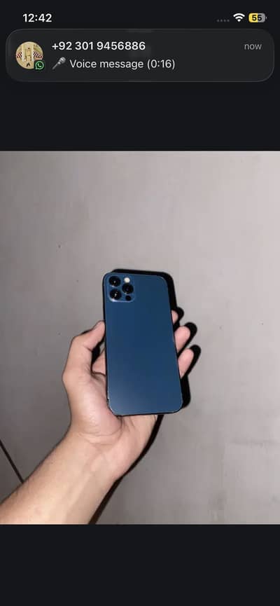 12 Pro
