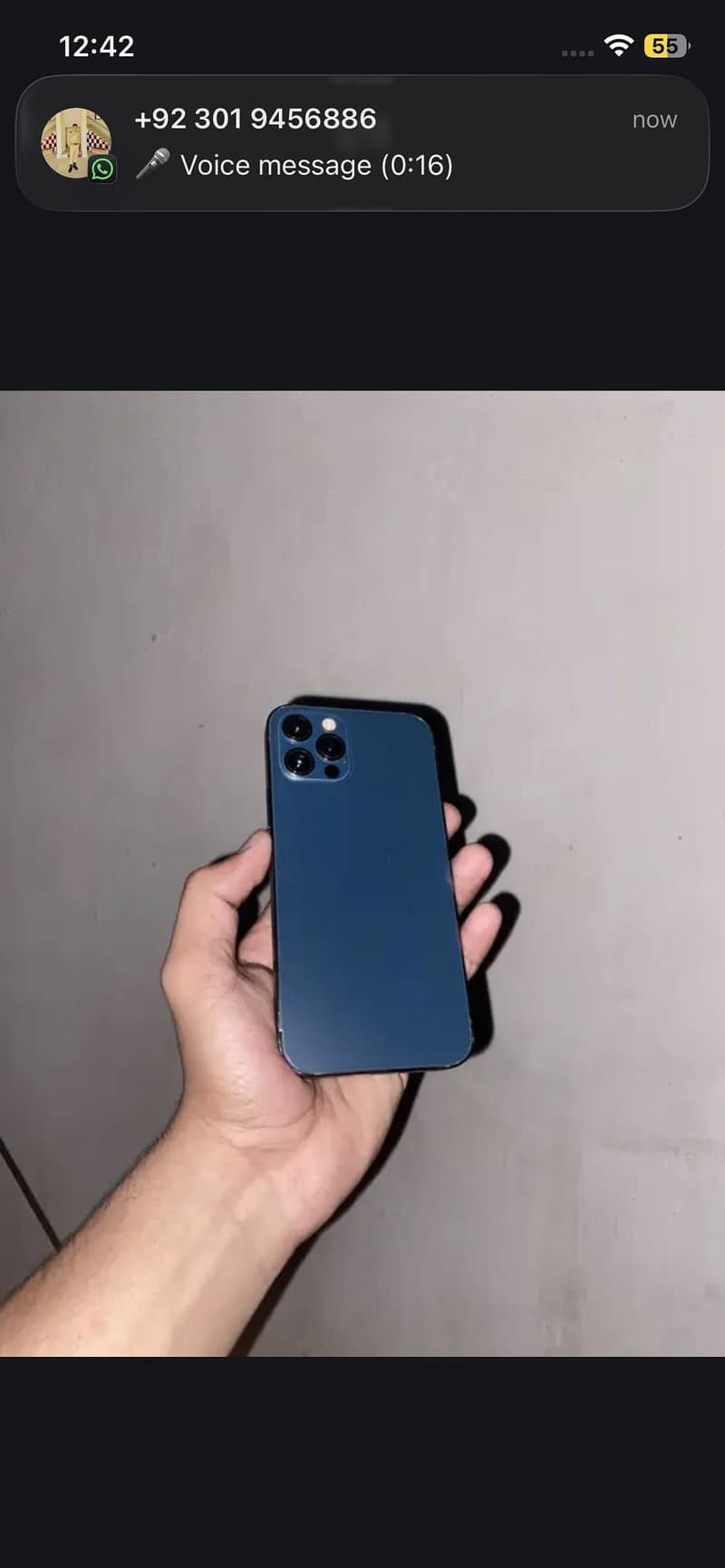 12 Pro 0
