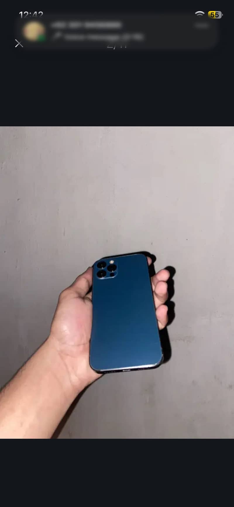 12 Pro 1