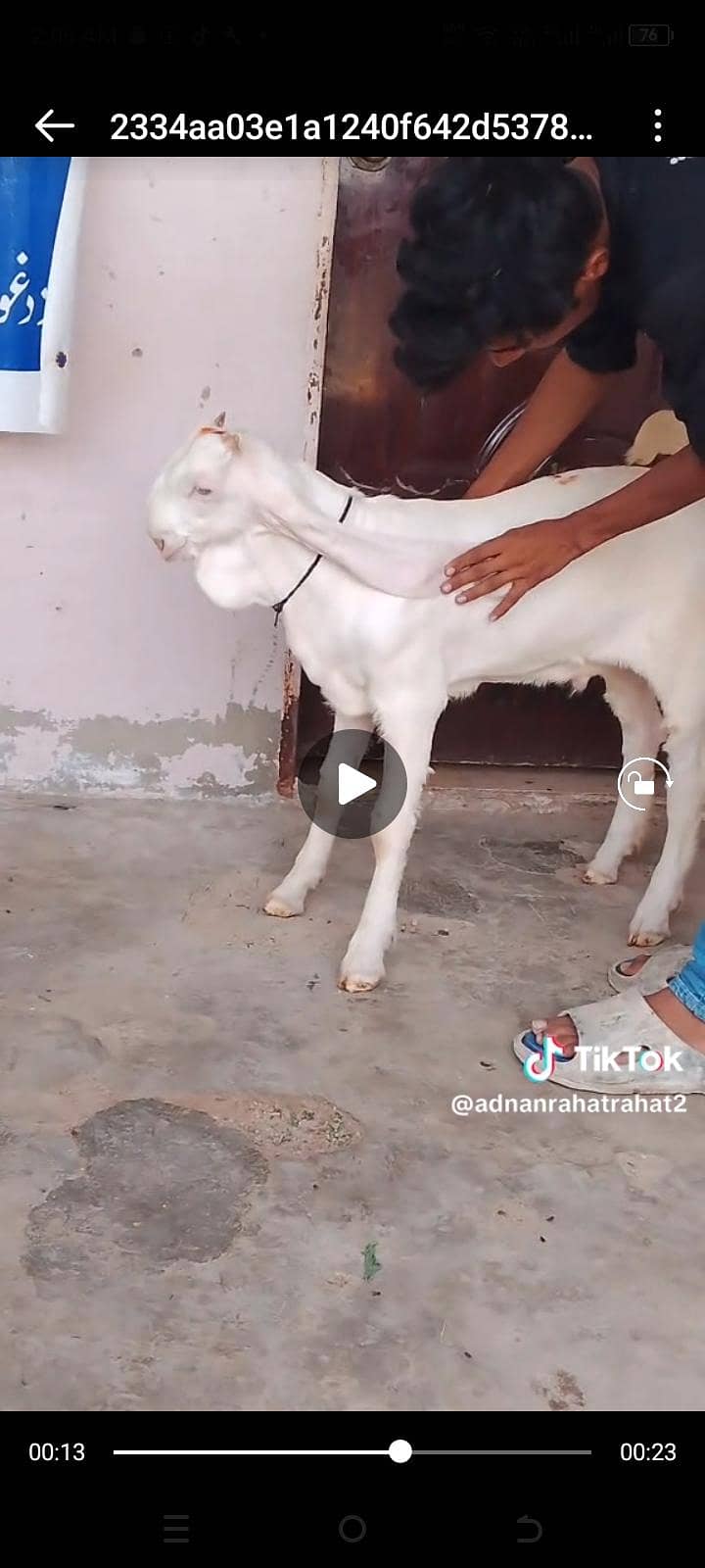 gulabi 0