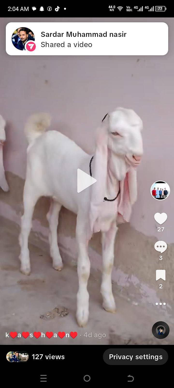 gulabi 3
