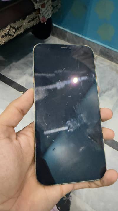 Apple iPhone 12 Pro Max jv