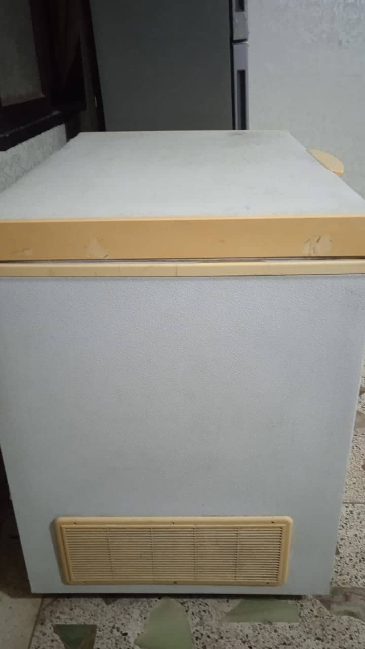 Waves single door deepfreezer 1