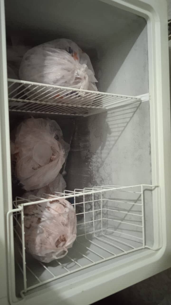 Waves single door deepfreezer 2