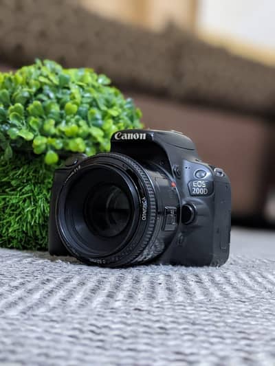 Canon 200D + Yougnou 50mm 1.8 | Portrait Photography and Cinematics
