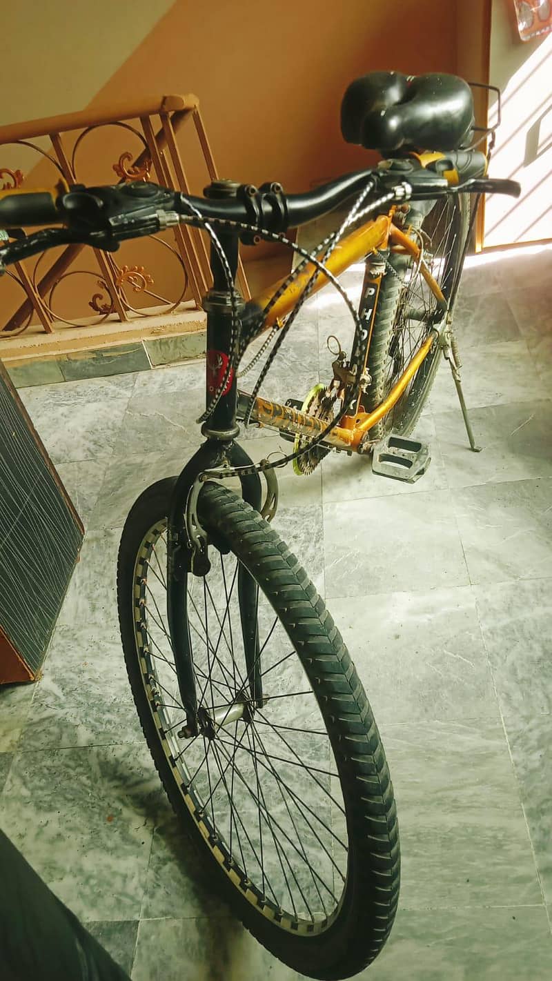 Phoenix cycle 0