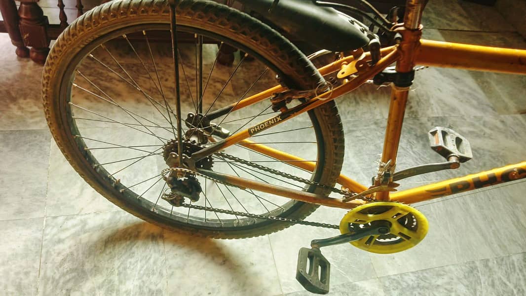 Phoenix cycle 4